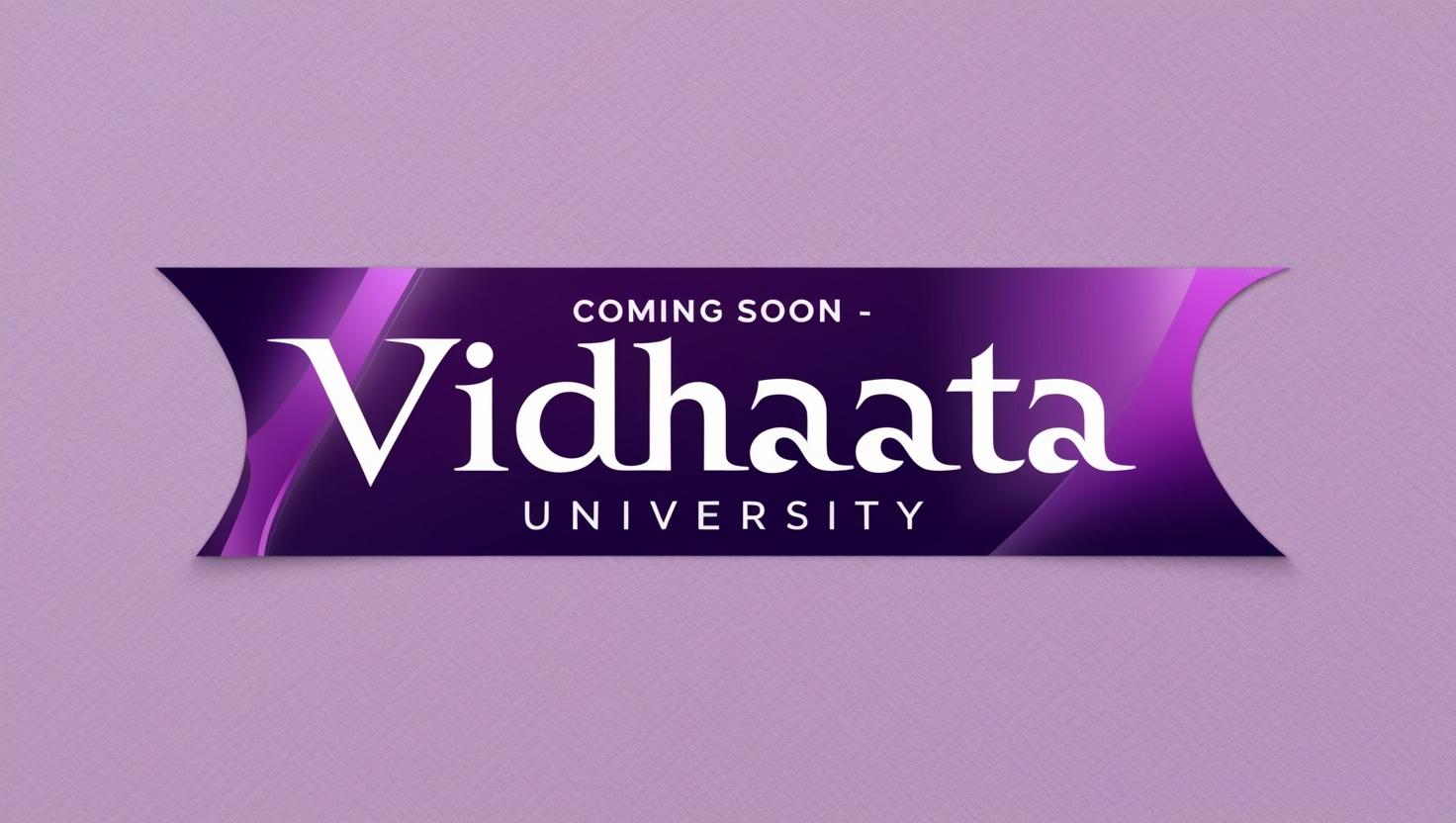 Vidhaata Strategies Provides Most Accurate Data Insights and Effective Teams For Your Victory in Elections
